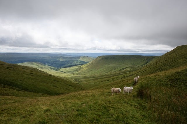 South Pennines reservoir with rocky outcrops.
