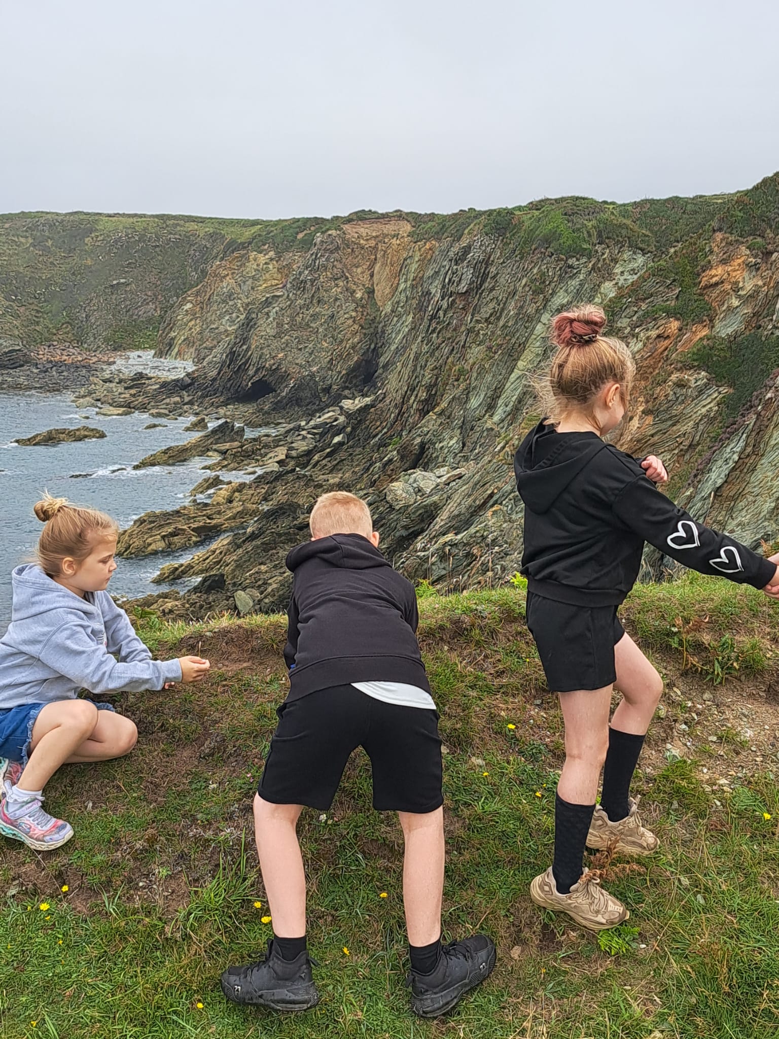 A welcoming image related to nature connection or Manchester